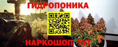 ГАЛЛЮЦИНОГЕННЫЕ ГРИБЫ Конаково
