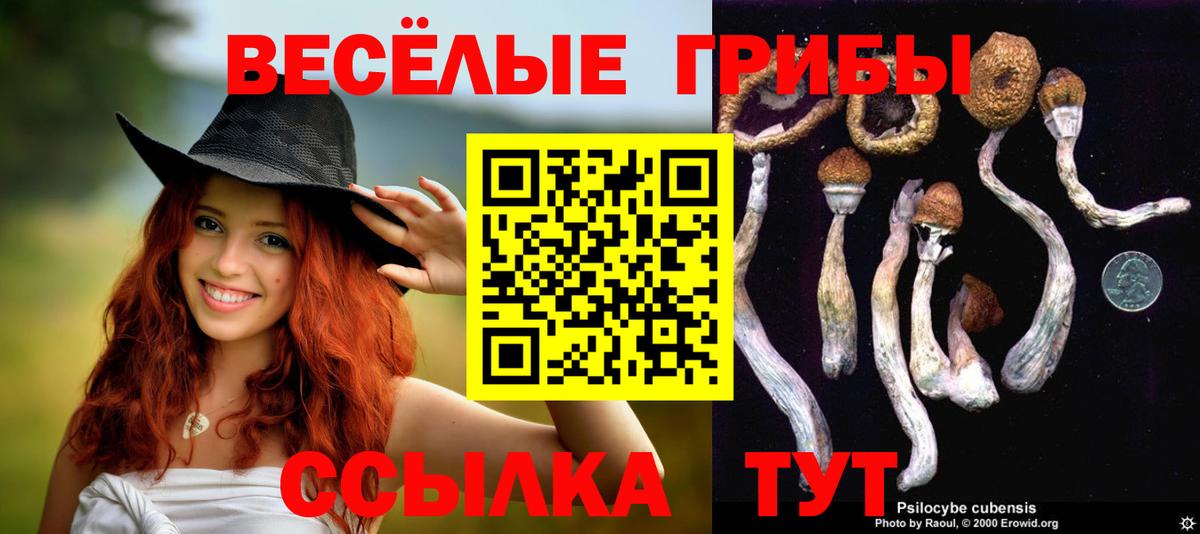 Псилоцибиновые грибы мухоморы Кудрово