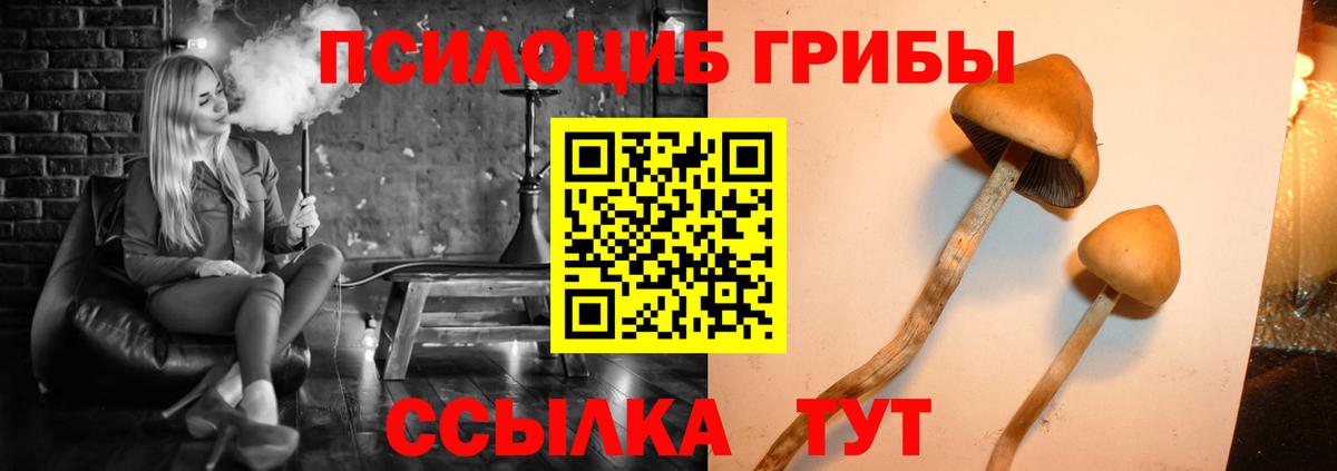 Галлюциногенные грибы прущие грибы  как найти   Вход с VPN  Кудрово  Галлюциногенные грибы Magic Shrooms 